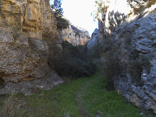 Baranco de la Hoz Seca Jaraba